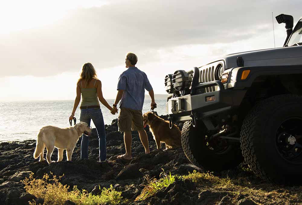 Moving Your Pets to Hawaii - A Guide