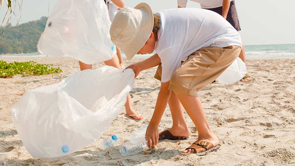 Beach cleanup