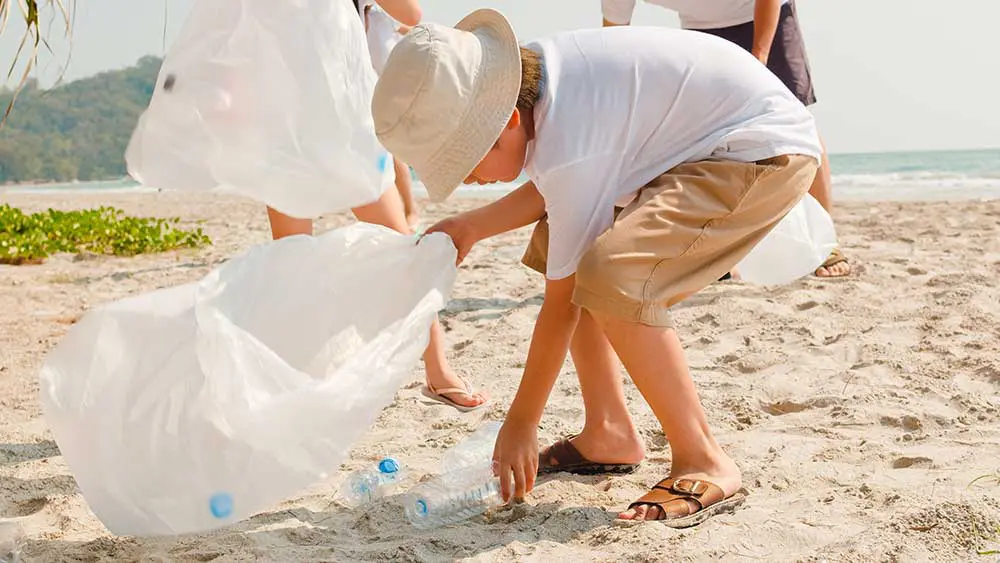 Beach cleanup