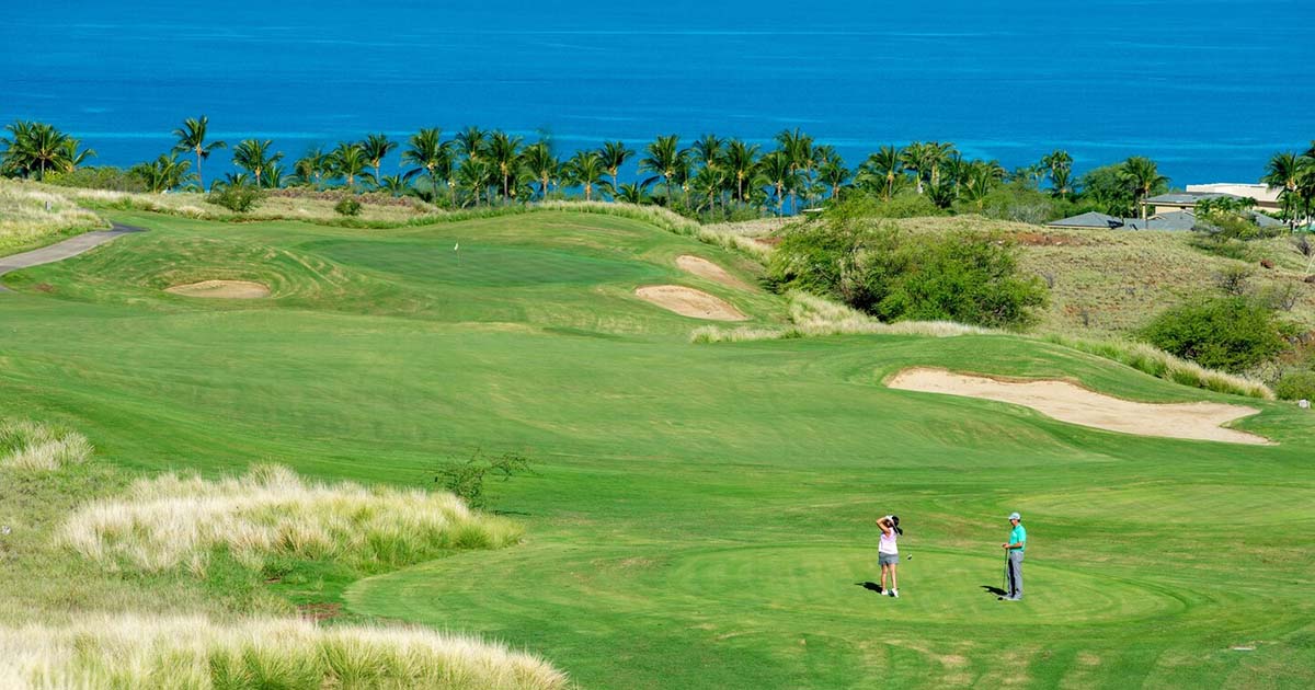 Hawai'i Island Golf Excels Hapuna Realty